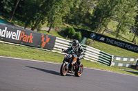 Lower Group Orange Bikes